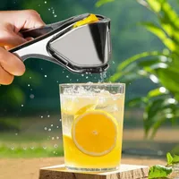 🔥2026 Summer Sale 49% OFF🔥Citrus Squeezer |Zinc Alloy or PP – Handheld Juicer for Lemons, Limes & Oranges 🍋 thumbnail 6