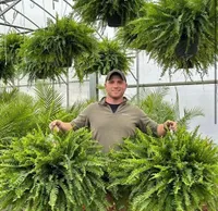 🔥 On Sale Only Today 🌱 UV-Resistant Lifelike Artificial Boston Fern thumbnail 3