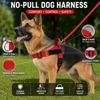 🔥 Summer Sale – Up To 60% OFF 🐶 No-Pull Dog Harness & Heavy-Duty Leash Set thumbnail 1