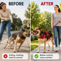 🔥 Summer Sale – Up To 60% OFF 🐶 No-Pull Dog Harness & Heavy-Duty Leash Set thumbnail 2