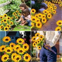 🌻 50% OFF NOW! ☀️ Waterproof Solar Sunflower Lights – Realistic Petals, IP65 Weatherproof & 8-12H Auto Glow ✨ thumbnail 2