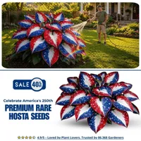 🎉Last Day Sale Off 50%🎉Celebrate America's 250th 🌱Premium Shade-Loving Hosta Seeds thumbnail 1