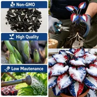 🎉Last Day Sale Off 50%🎉Celebrate America's 250th 🌱Premium Shade-Loving Hosta Seeds thumbnail 3