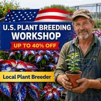 🎉Last Day Sale Off 50%🎉Celebrate America's 250th 🌱Premium Shade-Loving Hosta Seeds thumbnail 4