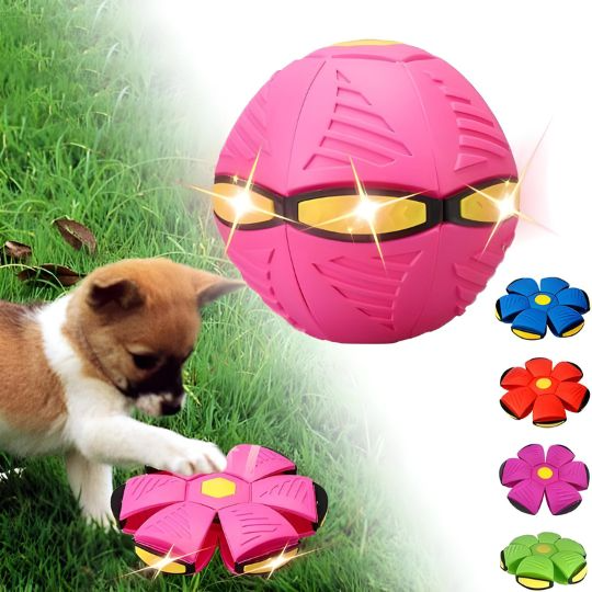 🔥🔥Hot Deal Summer SALE OFF UP TO 60%🔥🔥The World's Best 2-in-1 Interactive Toy To Keep Your Dog Entertained For Hours thumbnail 9