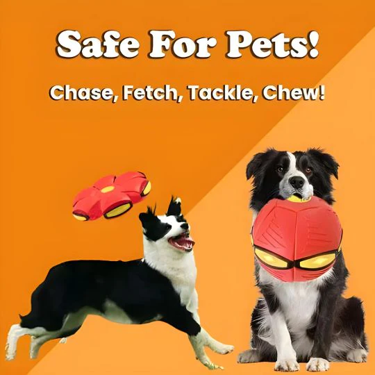 🔥🔥Hot Deal Summer SALE OFF UP TO 60%🔥🔥The World's Best 2-in-1 Interactive Toy To Keep Your Dog Entertained For Hours thumbnail 4