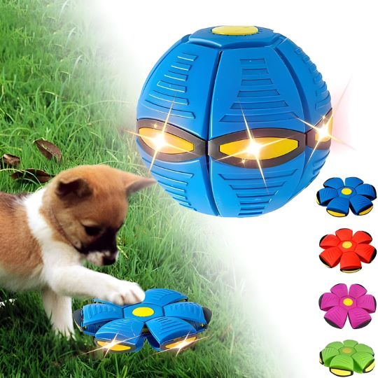 🔥🔥Hot Deal Summer SALE OFF UP TO 60%🔥🔥The World's Best 2-in-1 Interactive Toy To Keep Your Dog Entertained For Hours thumbnail 7