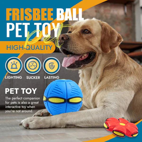 🔥🔥Hot Deal Summer SALE OFF UP TO 60%🔥🔥The World's Best 2-in-1 Interactive Toy To Keep Your Dog Entertained For Hours thumbnail 3