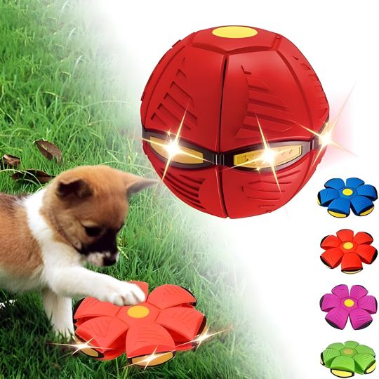 🔥🔥Hot Deal Summer SALE OFF UP TO 60%🔥🔥The World's Best 2-in-1 Interactive Toy To Keep Your Dog Entertained For Hours - Image 1