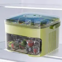 🔥 SUMMER SALE 50% OFF🧊 2-in-1 Double Layer Portable Ice Box ❄️ thumbnail 5