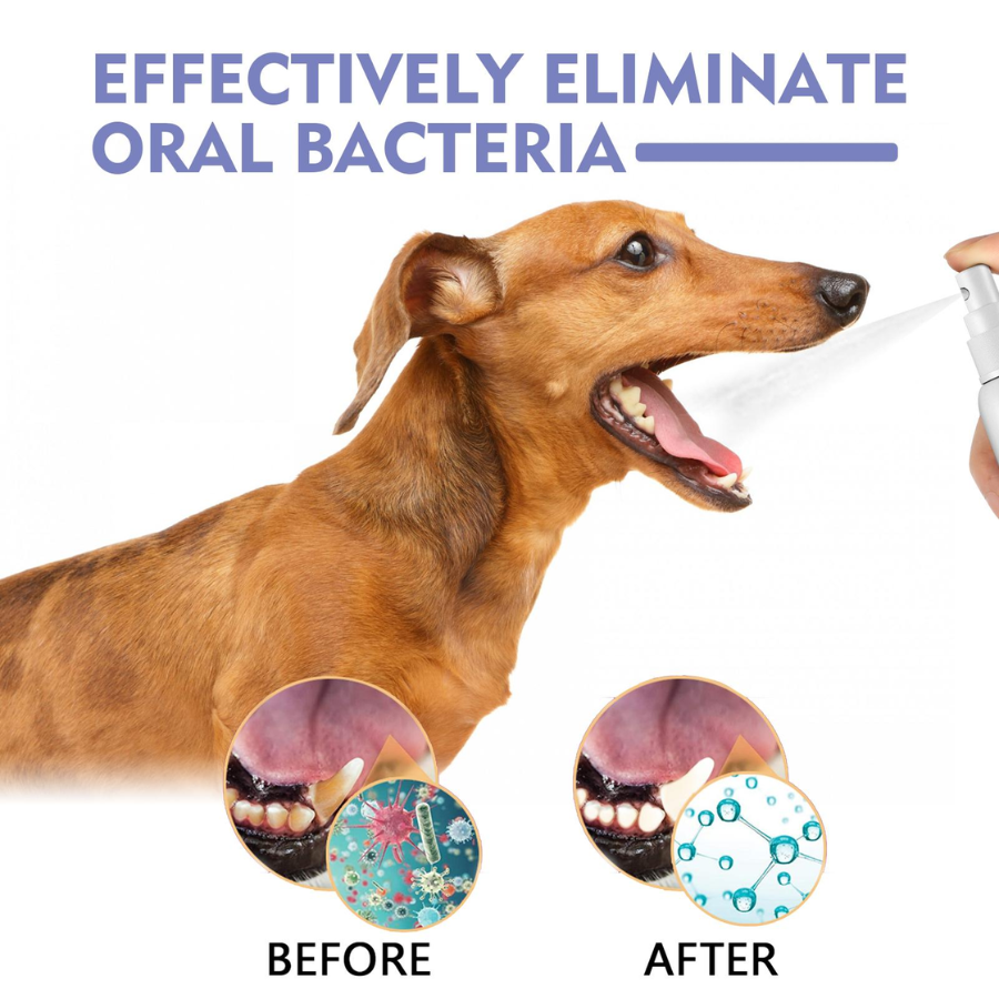 🔥 50% OFF | Pet Oral Spray – Clean Teeth & Fresh Breath thumbnail 2