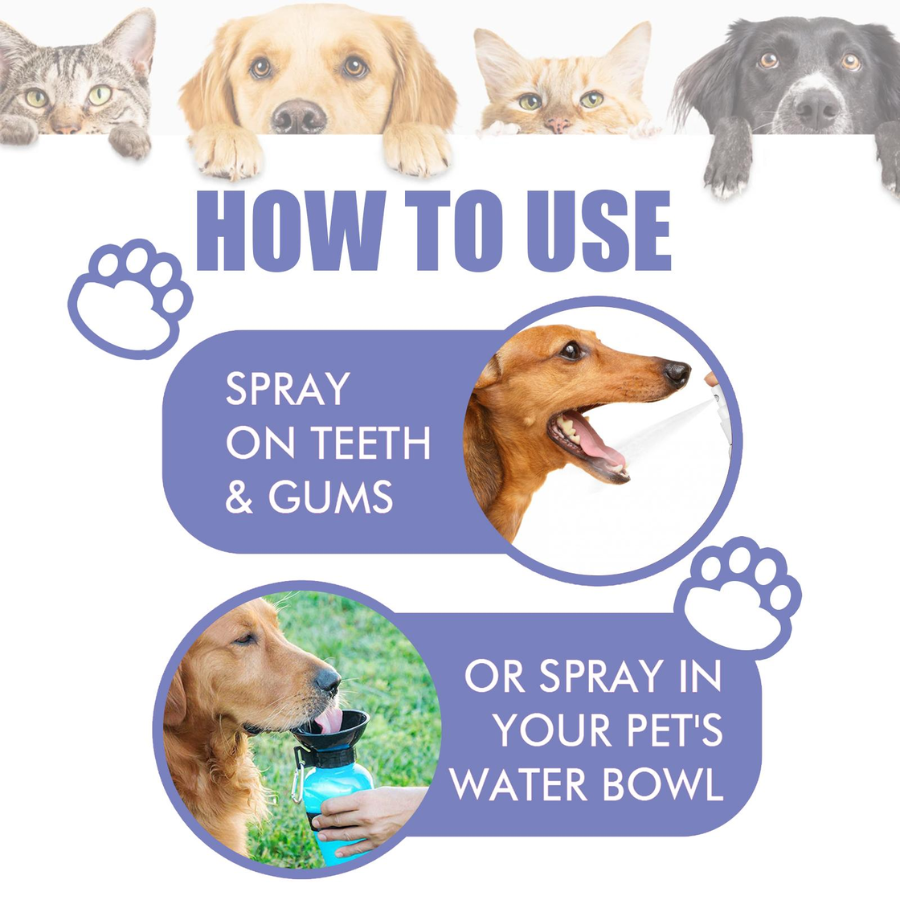 🔥 50% OFF | Pet Oral Spray – Clean Teeth & Fresh Breath thumbnail 3