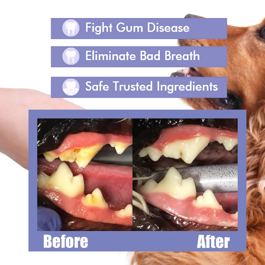 🔥 50% OFF | Pet Oral Spray – Clean Teeth & Fresh Breath thumbnail 4