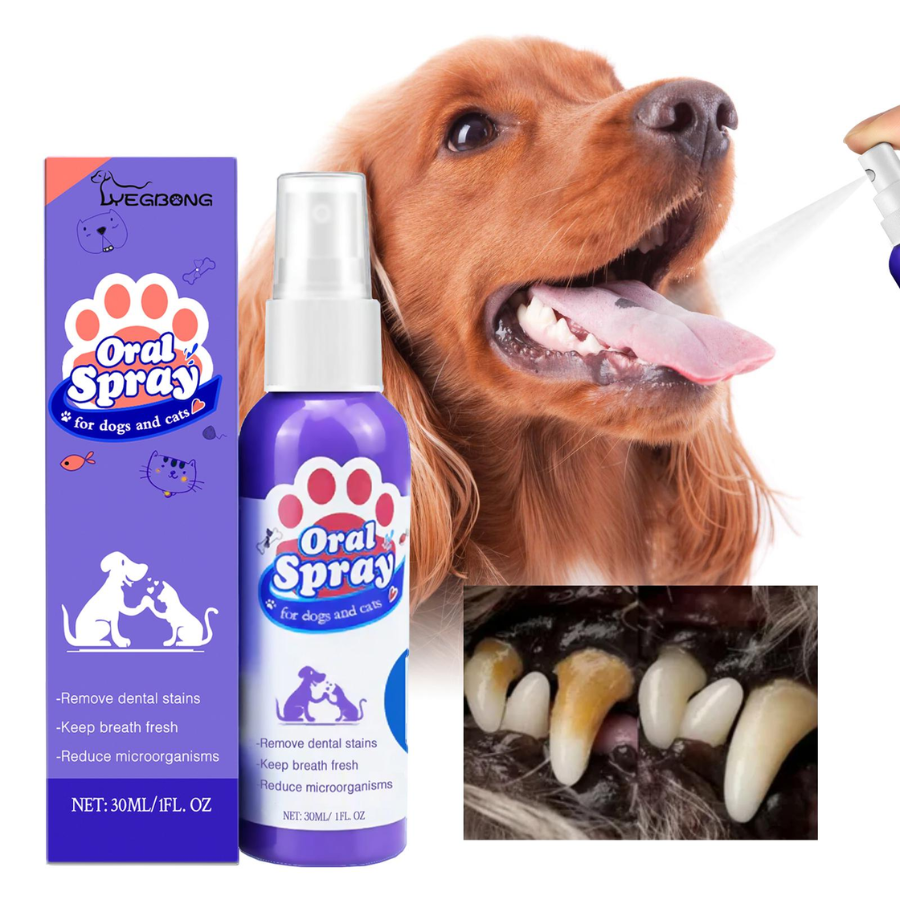 🔥 50% OFF | Pet Oral Spray – Clean Teeth & Fresh Breath thumbnail 5