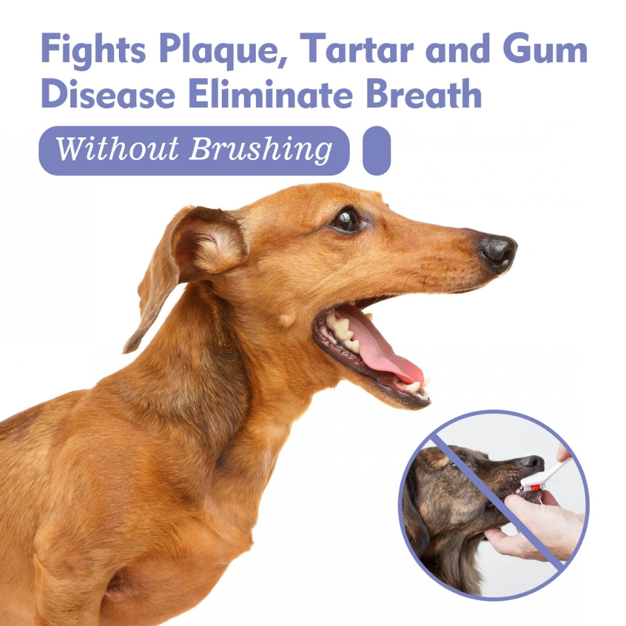 🔥 50% OFF | Pet Oral Spray – Clean Teeth & Fresh Breath thumbnail 9