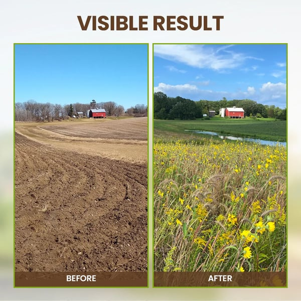 🔥🔥Hot Deal Summer SALE OFF UP TO 50%🔥🔥🌿Don’t let your plants struggle! Soil Pro Activator thumbnail 3