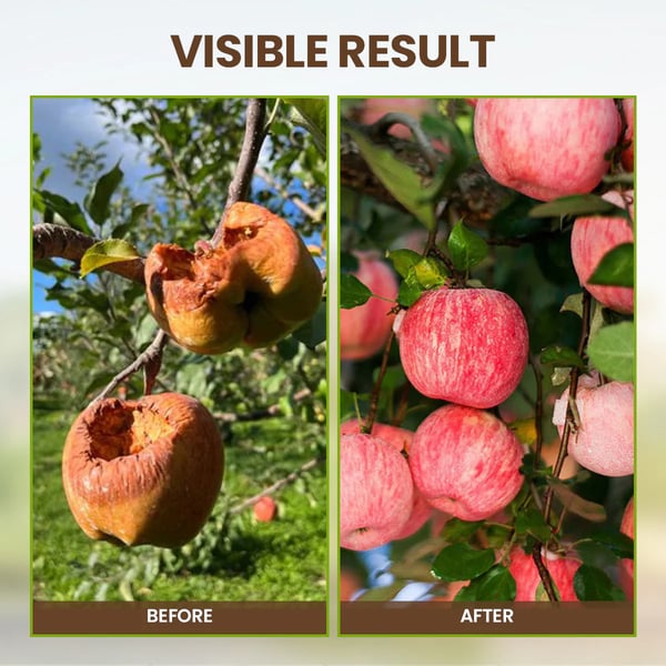 🔥🔥Hot Deal Summer SALE OFF UP TO 50%🔥🔥🌿Don’t let your plants struggle! Soil Pro Activator thumbnail 4