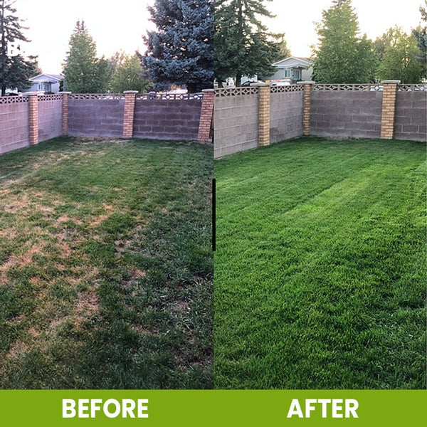 🔥🔥Hot Deal Summer SALE OFF UP TO 50%🔥🔥🌿Don’t let your plants struggle! Soil Pro Activator thumbnail 5