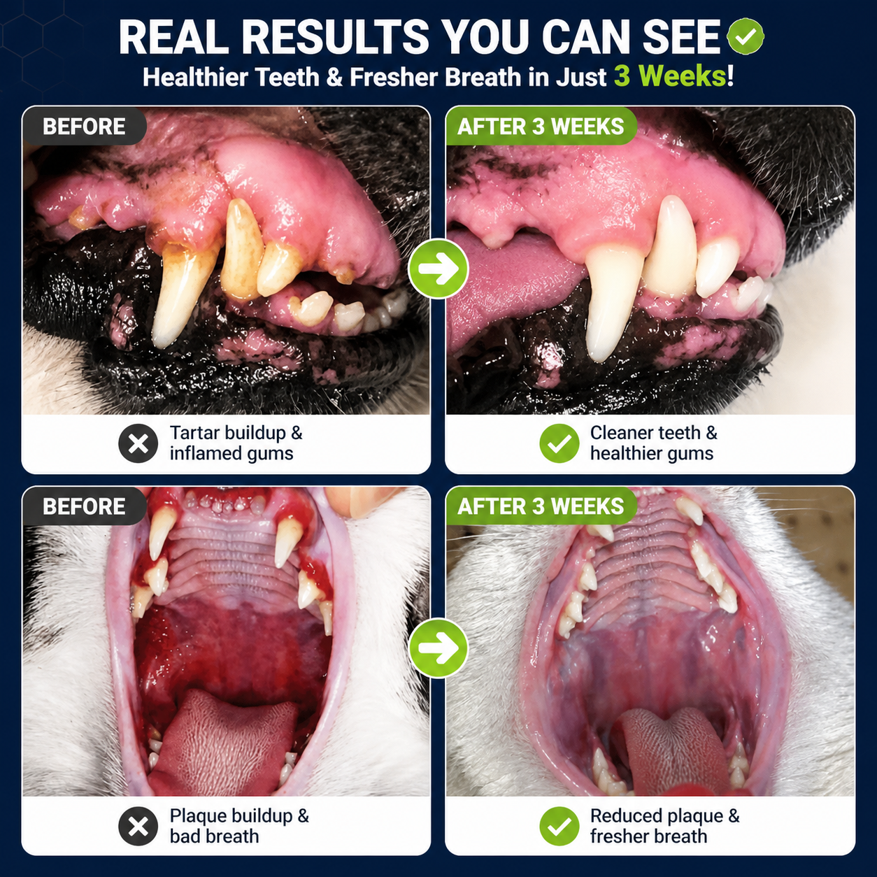 🔥 50% OFF Today | Pet Dental Spray for Dogs & Cats 🐶🐱 thumbnail 8