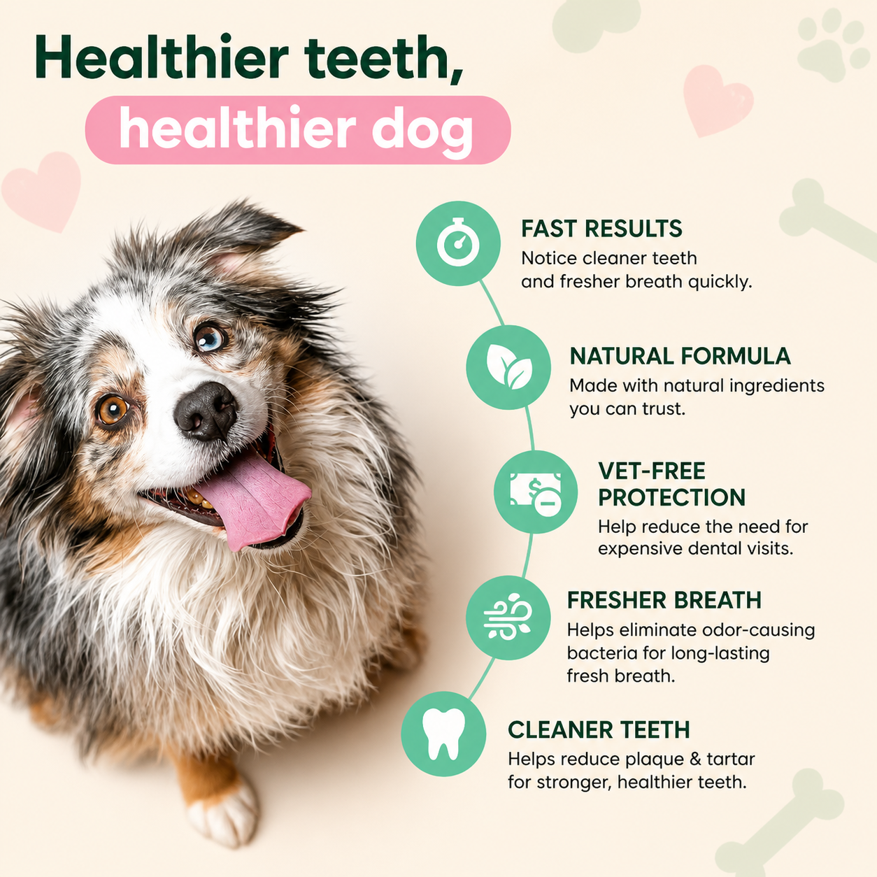🔥 50% OFF Today | Pet Dental Spray for Dogs & Cats 🐶🐱 thumbnail 4