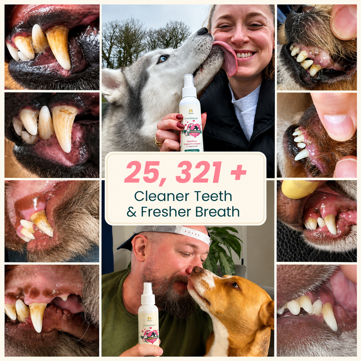 🔥 50% OFF Today | Pet Dental Spray for Dogs & Cats 🐶🐱 - Image 1