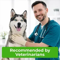 ✨BUY 2 GET 1 FREE✨Pet Repellent Button Silicone Collar to Repel Fleas, Ticks, and Lice 🐾🐾 thumbnail 1