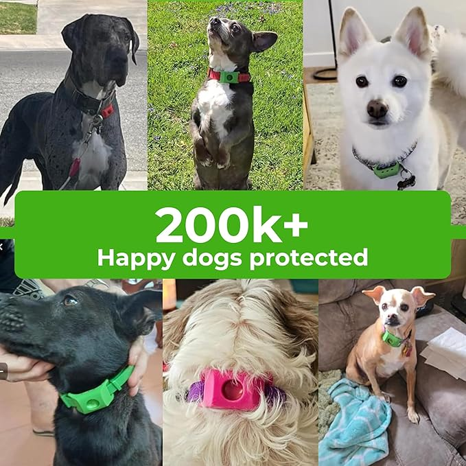 ✨BUY 2 GET 1 FREE✨Pet Repellent Button Silicone Collar to Repel Fleas, Ticks, and Lice 🐾🐾 thumbnail 6