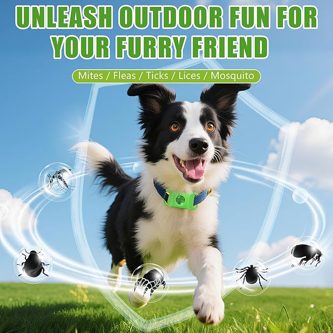 ✨BUY 2 GET 1 FREE✨Pet Repellent Button Silicone Collar to Repel Fleas, Ticks, and Lice 🐾🐾 thumbnail 7