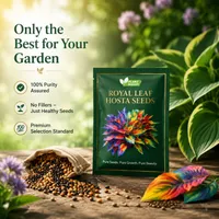 🔥🔥Hot Deal Summer SALE OFF UP TO 60% Premium Rare Hosta Seeds thumbnail 6