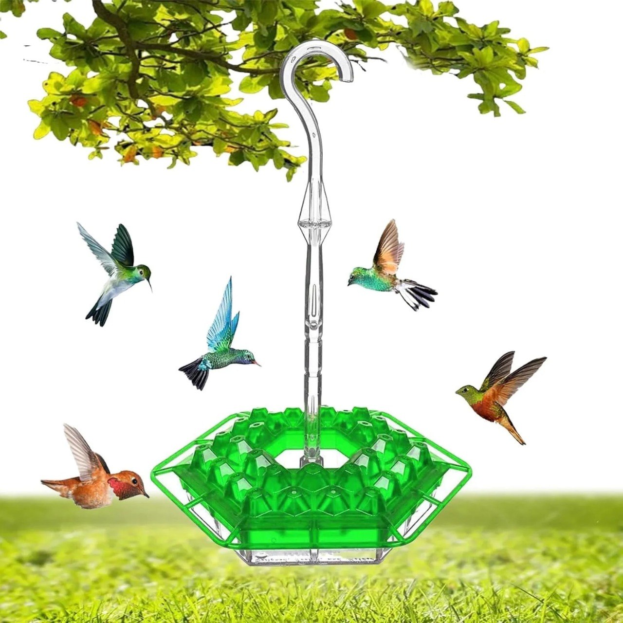 ✨Hummingbird Feeders for Outdoors Hanging thumbnail 6