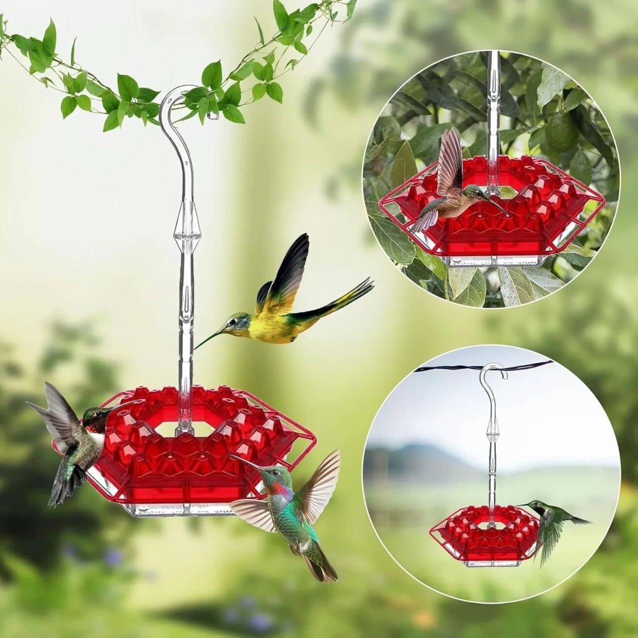 ✨Hummingbird Feeders for Outdoors Hanging - Image 1