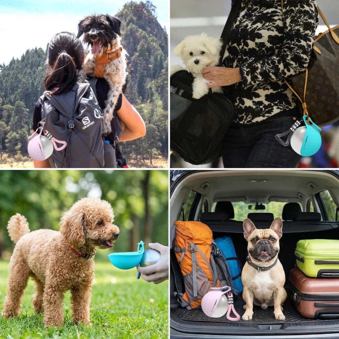 2-in-1 Portable Dog & Cat Water Bottle thumbnail 5