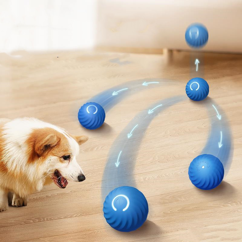The Viral Shaky Ball for dog (2-Pack)