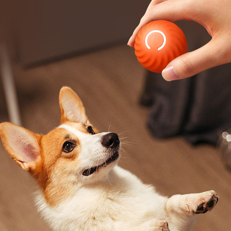 The Viral Shaky Ball for dog (2-Pack)