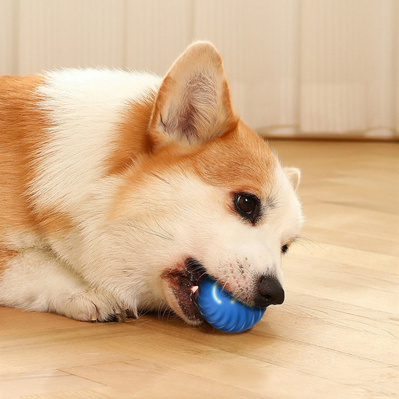 The Viral Shaky Ball for dog (2-Pack)