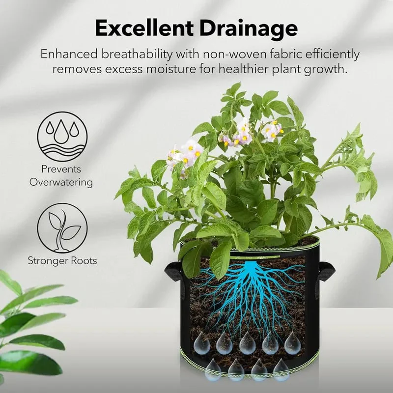 🔥 Hot Sale 69% OFF 🌱5 Gallon Grow Bag Heavy Duty Aeration Fabric Pots with Handles for Vegetables, Flowers & Fruits 🪴 thumbnail 4