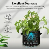 🔥 Hot Sale 69% OFF 🌱5 Pieces 5 Gallon Grow Bag Heavy Duty Aeration Fabric Pots with Handles for Vegetables, Fruits 🪴 thumbnail 4