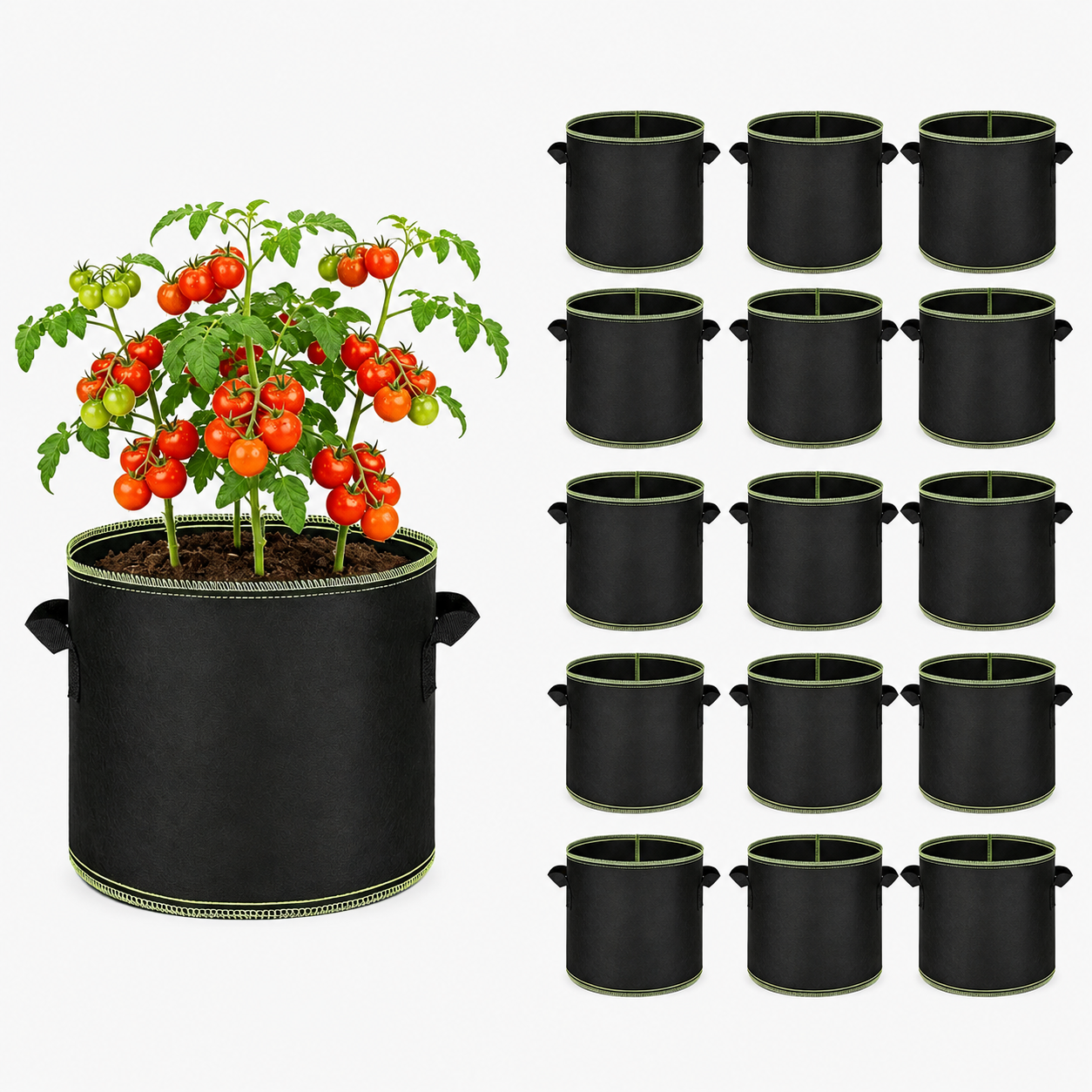 🔥 Hot Sale 69% OFF 🌱5 Gallon Grow Bag Heavy Duty Aeration Fabric Pots with Handles for Vegetables, Flowers & Fruits 🪴 thumbnail 9