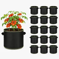 🔥 Hot Sale 69% OFF 🌱5 Pieces 5 Gallon Grow Bag Heavy Duty Aeration Fabric Pots with Handles for Vegetables, Fruits 🪴 thumbnail 9