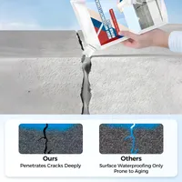 ⏰Limited Sale 50% OFF 🌿💧Heavy-Duty Concrete Crack Repair Adhesive thumbnail 6