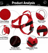 🔥 Summer Sale – Up To 60% OFF 🐶 No-Pull Dog Harness & Heavy-Duty Leash Set thumbnail 5