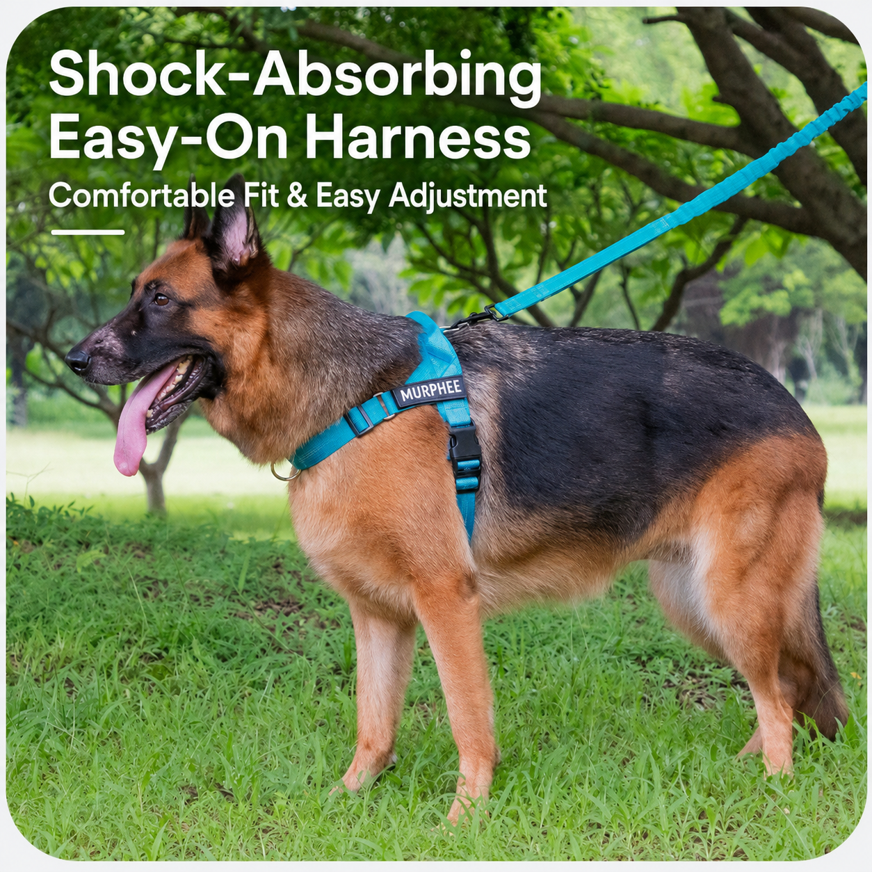 🔥 Summer Sale – Up To 60% OFF 🐶 No-Pull Dog Harness & Heavy-Duty Leash Set - Image 1