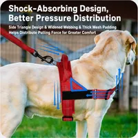 🔥 Summer Sale – Up To 60% OFF 🐶 No-Pull Dog Harness & Heavy-Duty Leash Set thumbnail 3