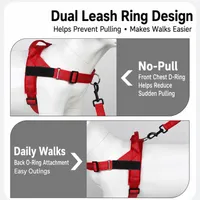 🔥 Summer Sale – Up To 60% OFF 🐶 No-Pull Dog Harness & Heavy-Duty Leash Set thumbnail 10