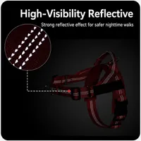 🔥 Summer Sale – Up To 60% OFF 🐶 No-Pull Dog Harness & Heavy-Duty Leash Set thumbnail 9