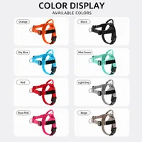 🔥 Summer Sale – Up To 60% OFF 🐶 No-Pull Dog Harness & Heavy-Duty Leash Set thumbnail 12