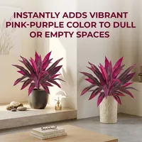 🔥Last Day 50% OFF🔥Artificial Dragon’s Blood Tree Plants thumbnail 6