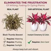 🔥Last Day 50% OFF🔥Artificial Dragon’s Blood Tree Plants thumbnail 7