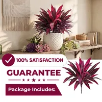🔥Last Day 50% OFF🔥Artificial Dragon’s Blood Tree Plants thumbnail 1