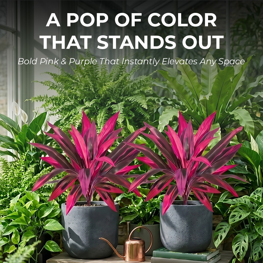 🔥Last Day 50% OFF🔥2Pcs Artificial Boston Fern & Dragon's Blood Tree Plants thumbnail 4
